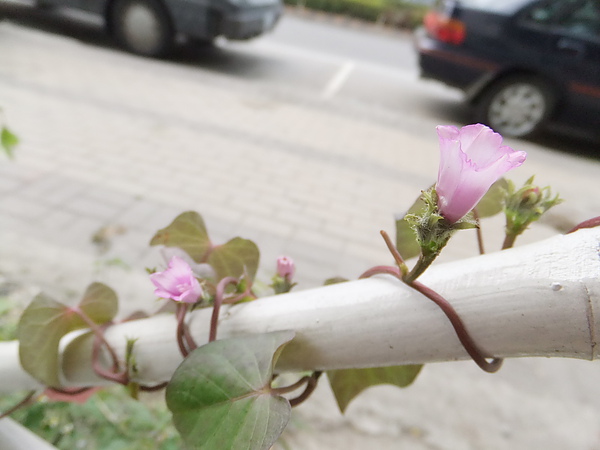 照片 001.jpg 照片 001.jpg