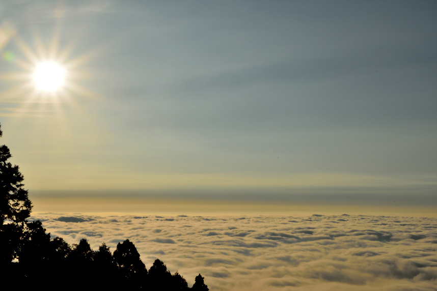 DSC_0212.JPG DSC_0212.JPG