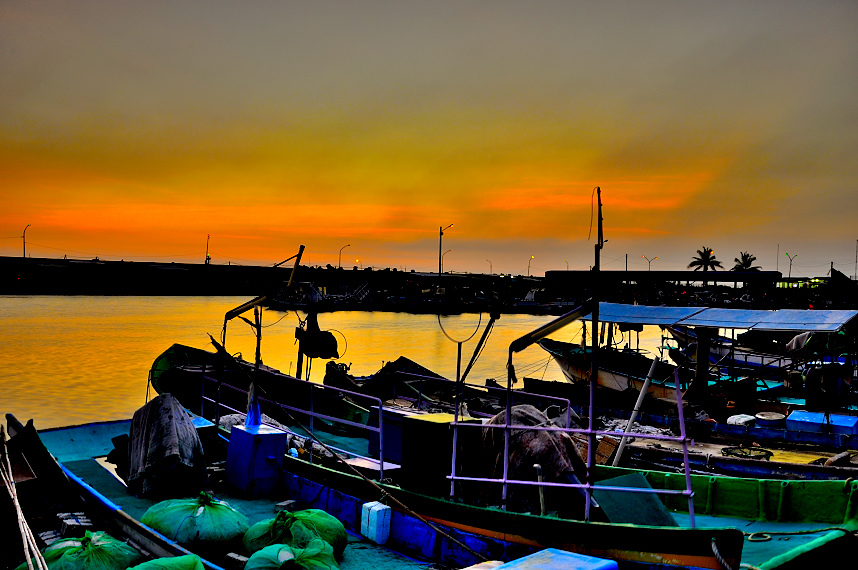 DSC_0242.JPG DSC_0242.JPG