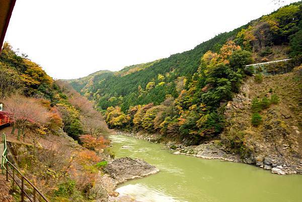 京都嵐山 (19).JPG