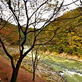 京都嵐山 (23).JPG
