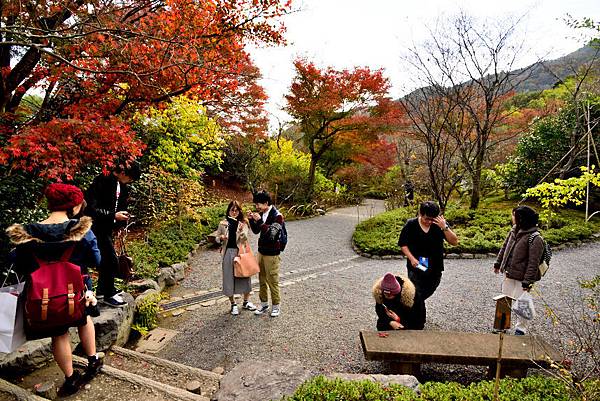 京都嵐山 (35).JPG