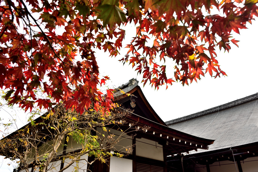 京都嵐山 (39).JPG 京都嵐山 (39).JPG