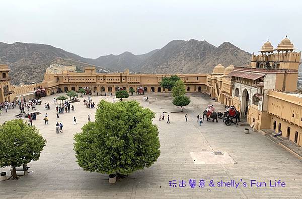 IMG_9315.jpeg IMG_9315.jpeg