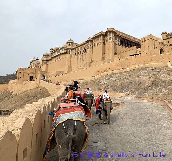 IMG_9308.jpeg IMG_9308.jpeg