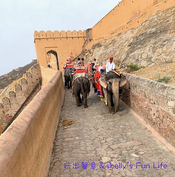 IMG_9306.jpeg IMG_9306.jpeg