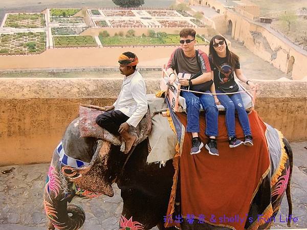 IMG_0202.JPG IMG_0202.JPG