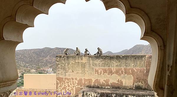 IMG_9356.jpeg IMG_9356.jpeg