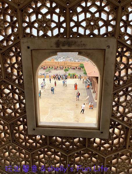 IMG_9353.jpeg IMG_9353.jpeg