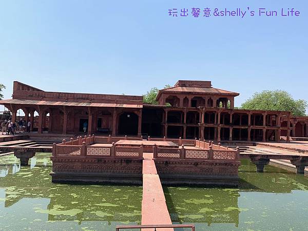 IMG_9447.jpeg IMG_9447.jpeg