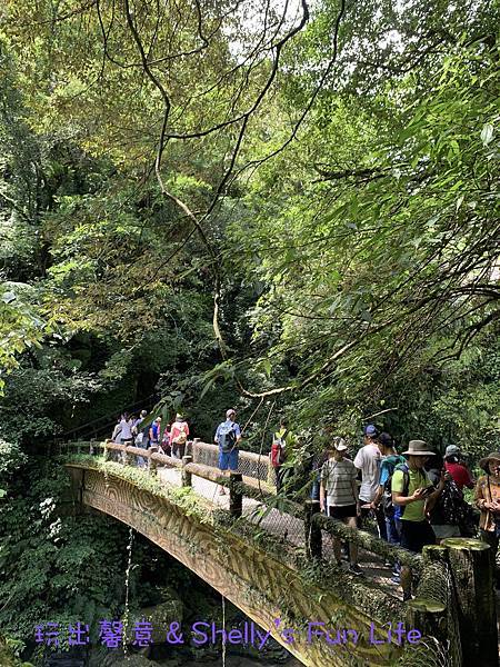 IMG_2328.jpeg IMG_2328.jpeg