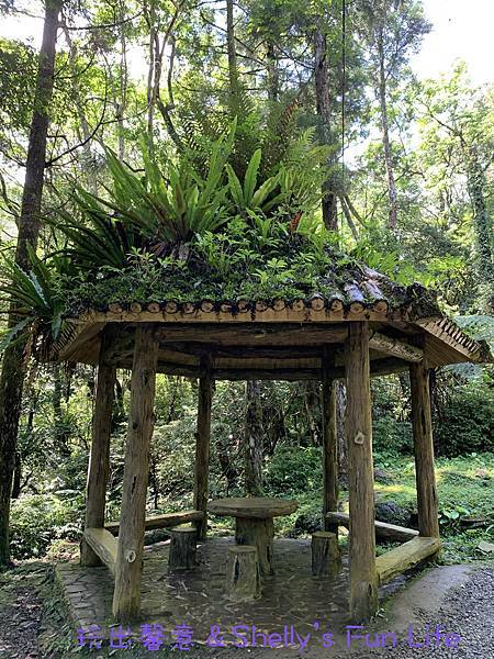 IMG_2327.jpeg IMG_2327.jpeg