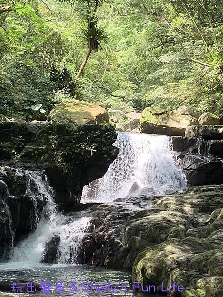 IMG_2334.jpeg IMG_2334.jpeg