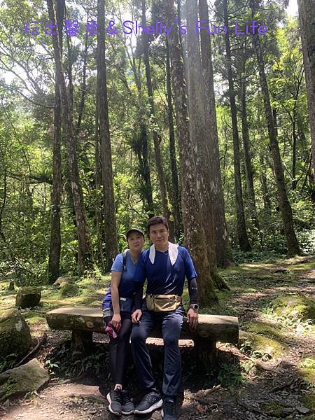 IMG_2335.jpeg IMG_2335.jpeg