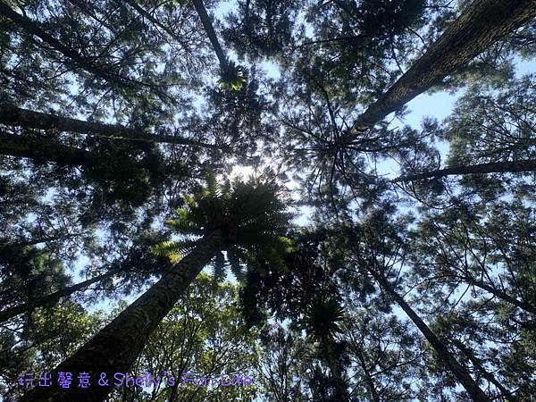 IMG_2336.jpeg IMG_2336.jpeg