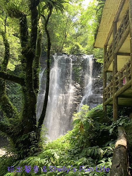 IMG_2338.jpeg IMG_2338.jpeg