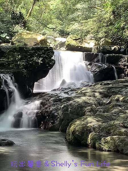 IMG_3286.jpeg IMG_3286.jpeg