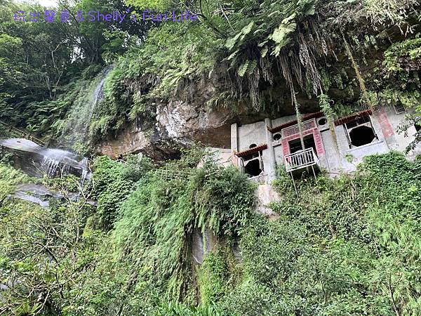 IMG_2391.jpeg IMG_2391.jpeg