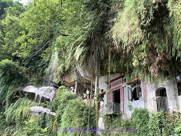 IMG_2409.jpeg IMG_2409.jpeg