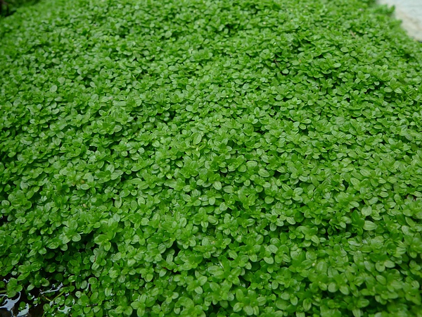 P1010220.JPG P1010220.JPG