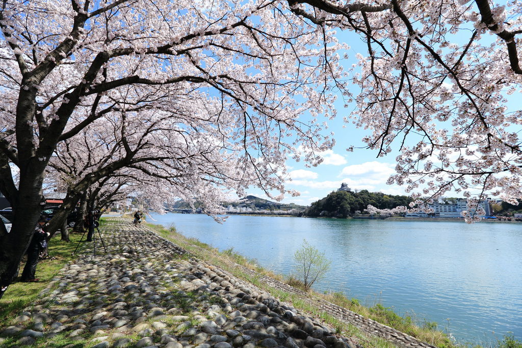 木曾川堤眺望犬山城