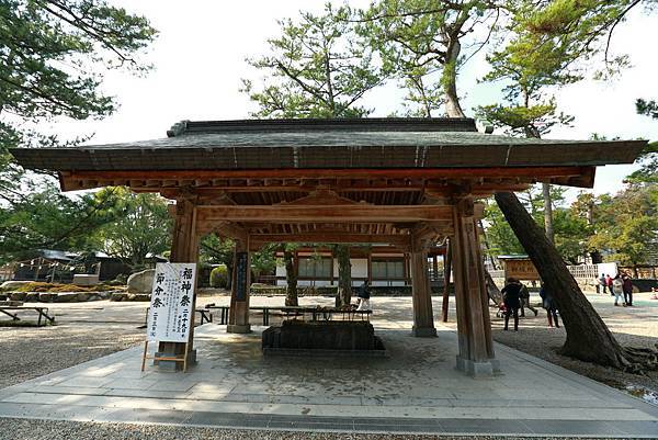 IMG_6007.JPG IMG_6007.JPG