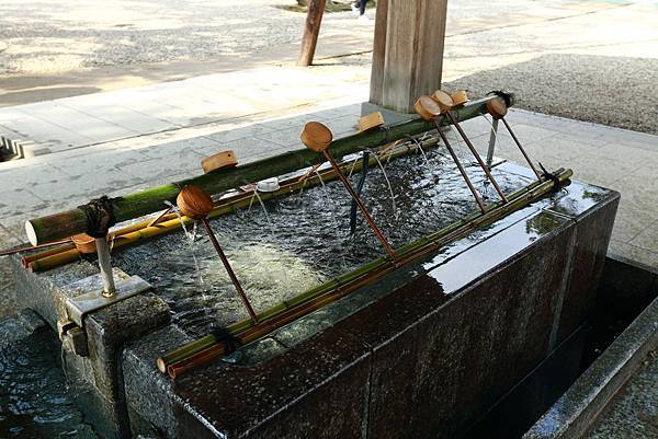 IMG_6008.JPG IMG_6008.JPG