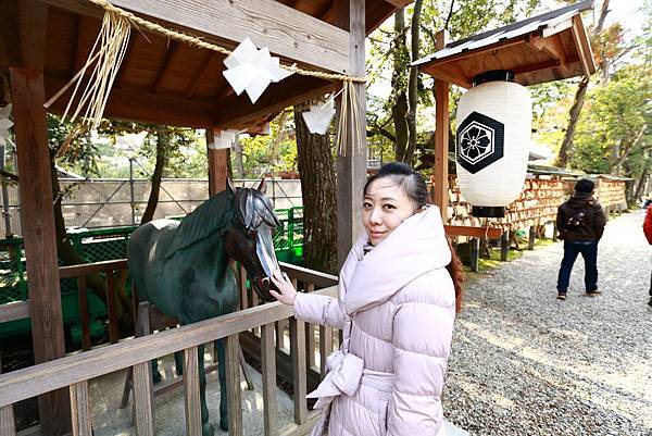 IMG_6020.JPG IMG_6020.JPG