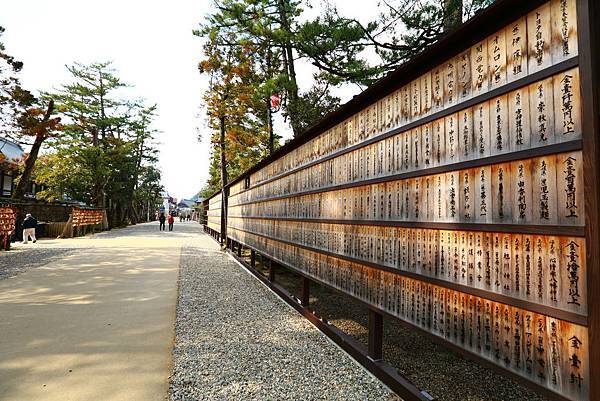 IMG_6021.JPG IMG_6021.JPG