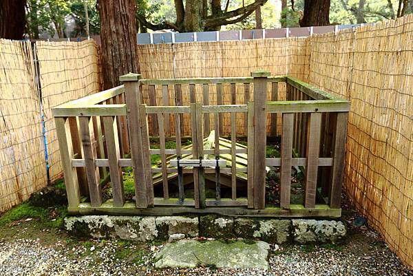 IMG_6031.JPG IMG_6031.JPG