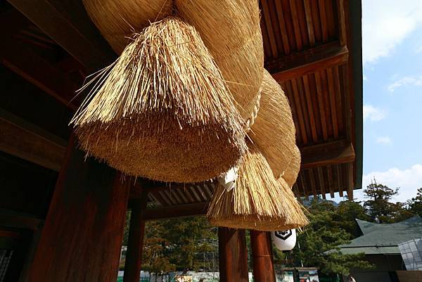 IMG_6050.JPG IMG_6050.JPG