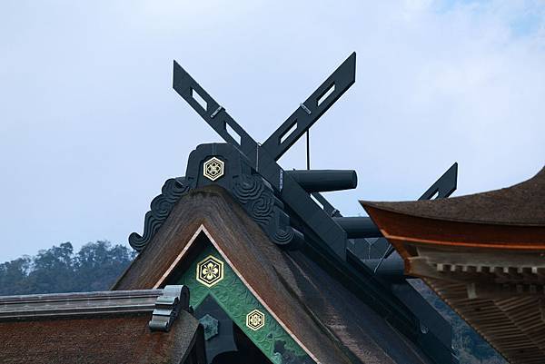 IMG_6089.JPG IMG_6089.JPG