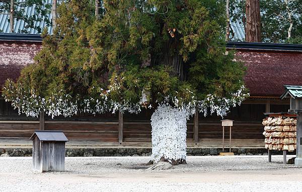 IMG_6099.JPG IMG_6099.JPG