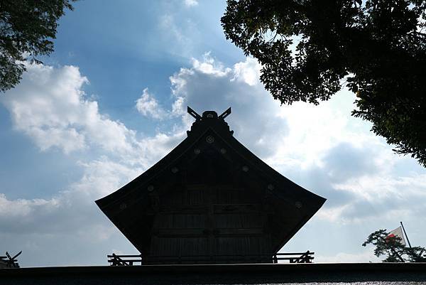 IMG_6133.JPG IMG_6133.JPG