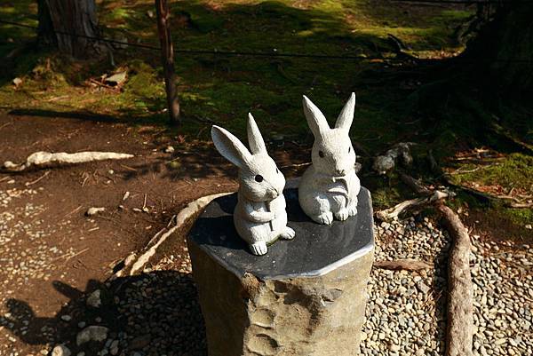 IMG_6135.JPG IMG_6135.JPG