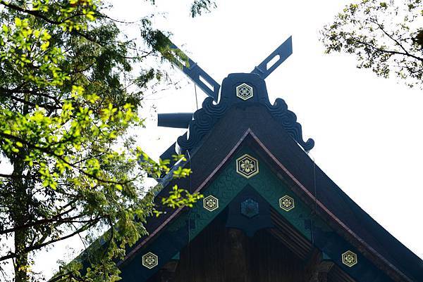 IMG_6138.JPG IMG_6138.JPG