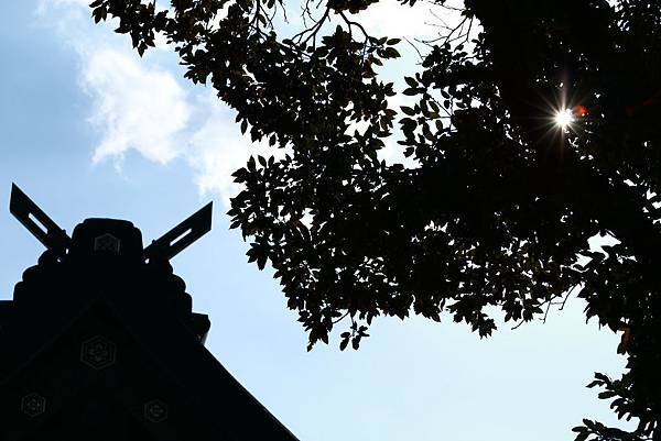 IMG_6140.JPG IMG_6140.JPG