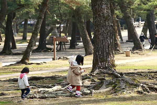 IMG_6172.JPG IMG_6172.JPG