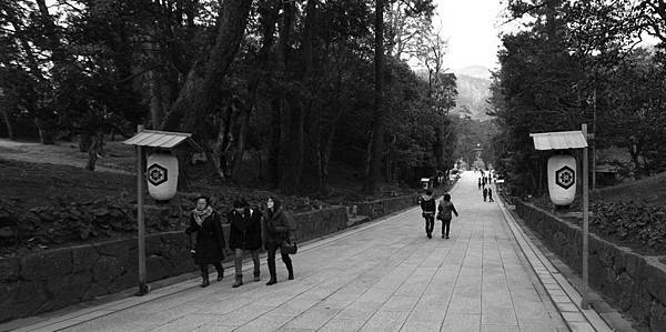 IMG_5986.JPG IMG_5986.JPG