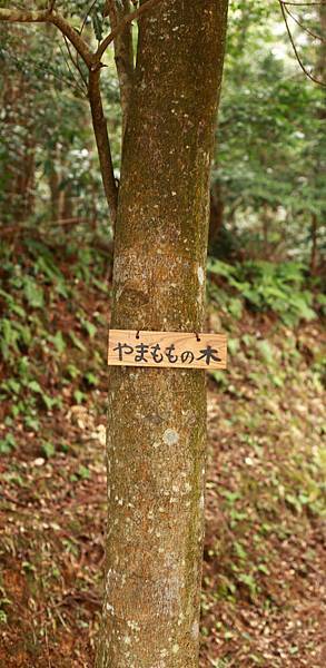 IMG_6491.JPG IMG_6491.JPG