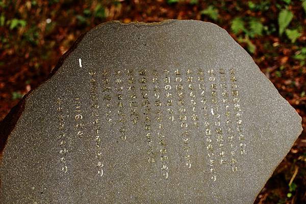 IMG_6496.JPG IMG_6496.JPG