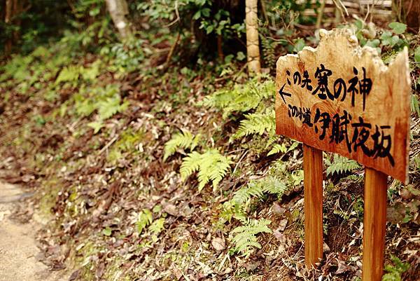 IMG_6499.JPG IMG_6499.JPG