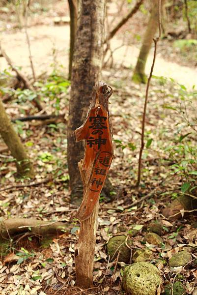 IMG_6514.JPG IMG_6514.JPG