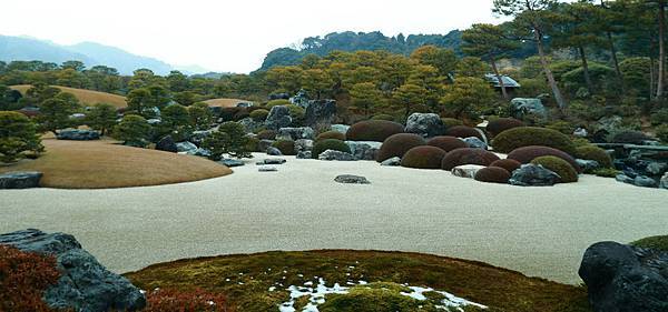 IMG_6528.JPG IMG_6528.JPG