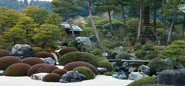 IMG_6532.JPG IMG_6532.JPG