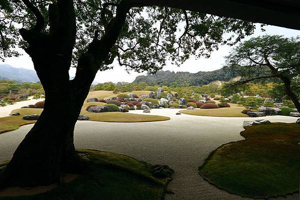 IMG_6548.JPG IMG_6548.JPG