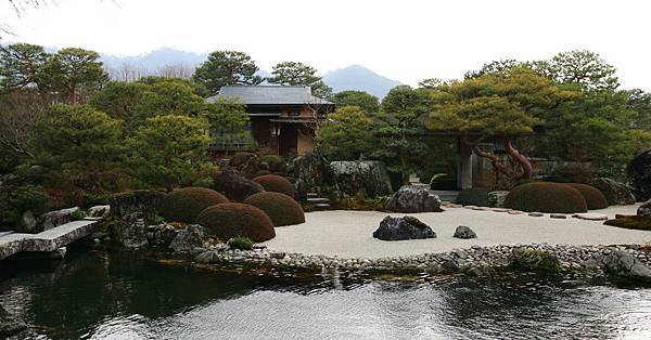 IMG_6557.JPG IMG_6557.JPG