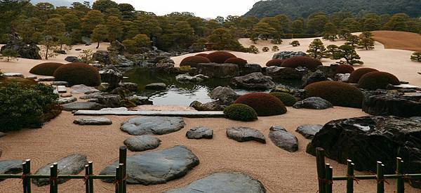 IMG_6568.JPG IMG_6568.JPG