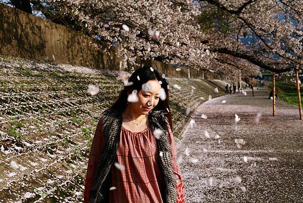 IMG_7743.JPG IMG_7743.JPG