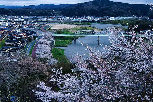 IMG_7822.JPG IMG_7822.JPG